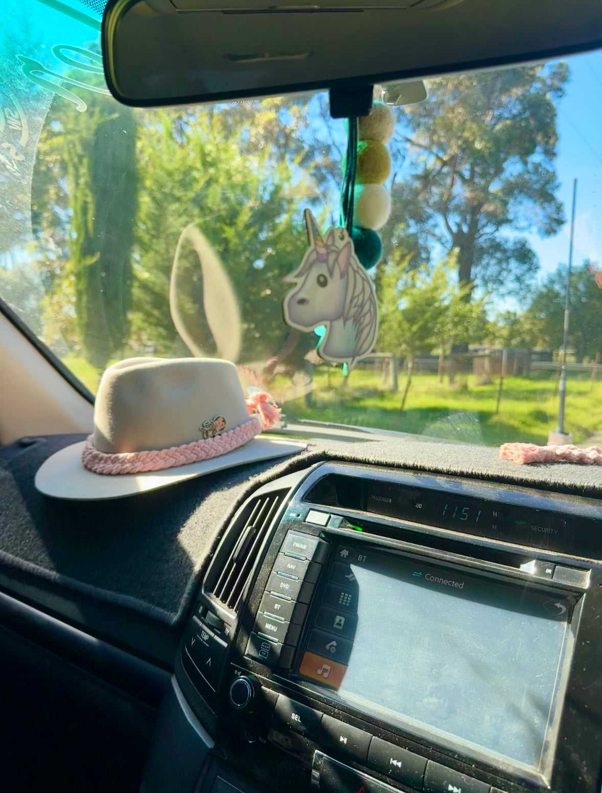 Car Hat Holder